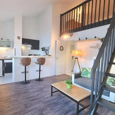 Duplex Cosy - * Toulouse