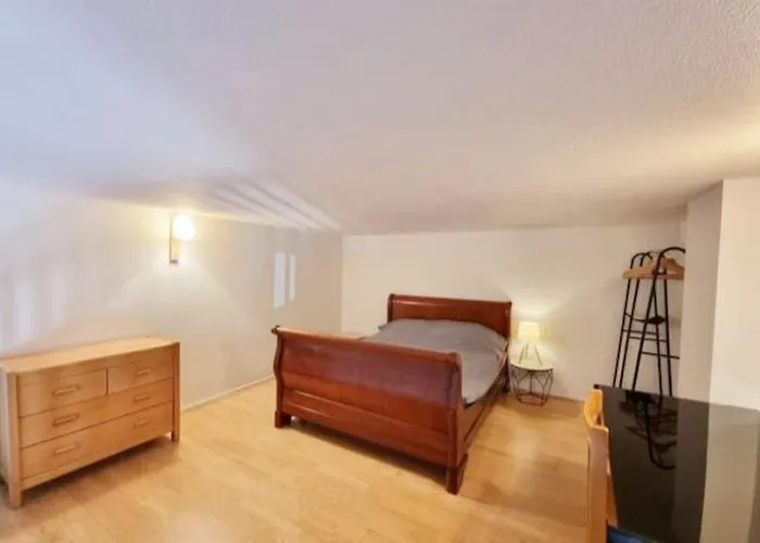 Duplex Cosy - Toulouse